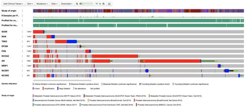 仁东医疗携手海计系统 临床科研助理软件首发，一站式解决大数据难题